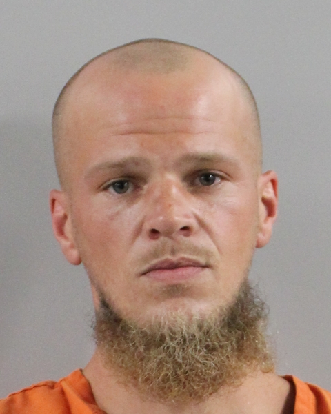 Booking photo of Shoshonee Carr