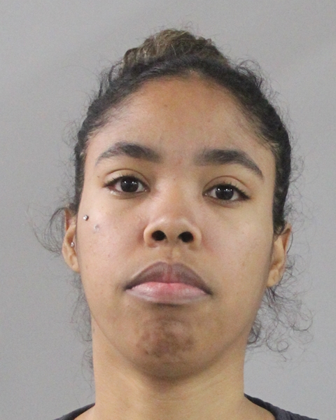 Booking photo of Dayana Chamizo