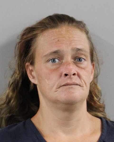 Booking photo of Misty North