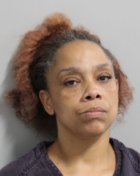 Booking photo of Rosalynn Long
