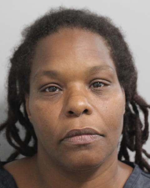Booking photo of Tomeka Thomas