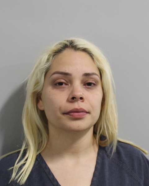 Niuska Martinez Beltran booking photo