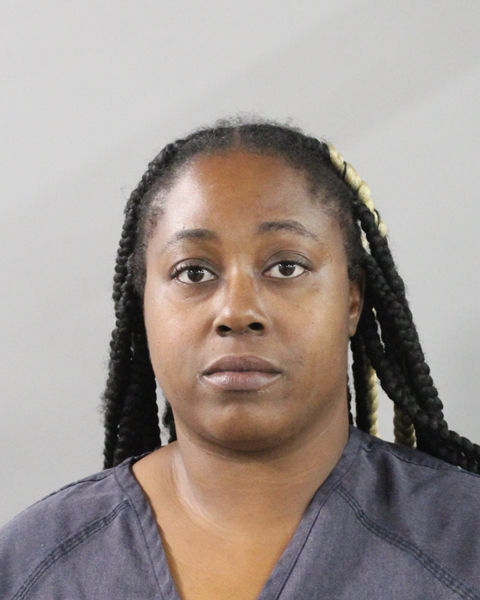 Brittany Mcnealy booking photo