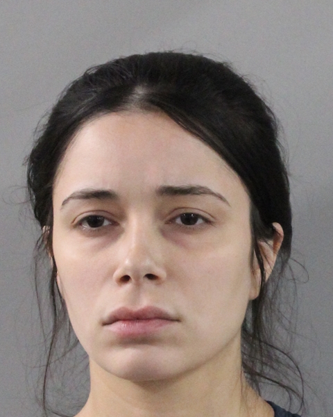 Booking photo of Angelis Febles