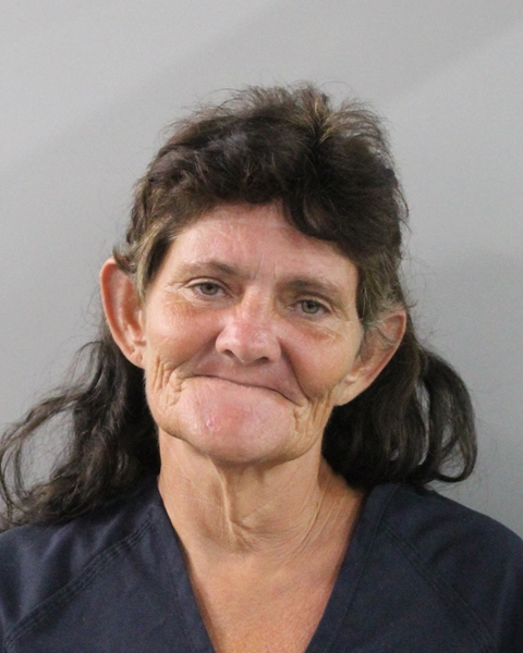 Booking photo of Glinda Roberts