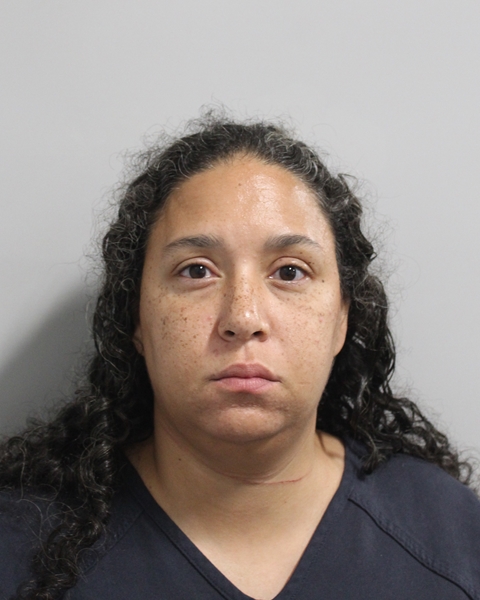 Booking photo of Brieann Downs