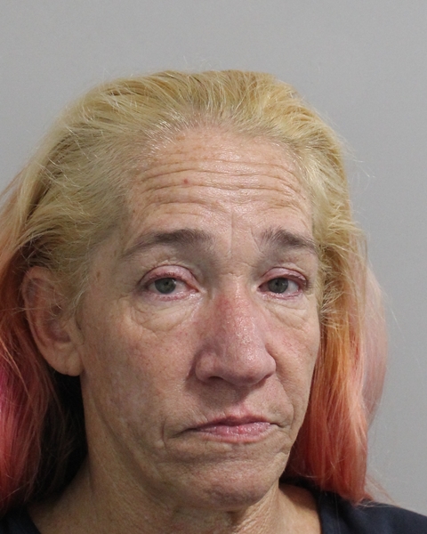 Booking photo of Jamie Disney