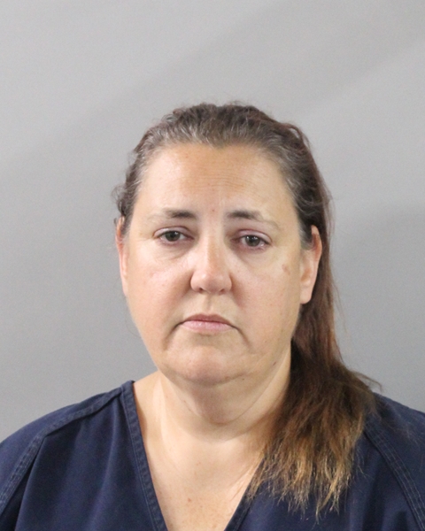 Booking photo of Jodi Ermlich