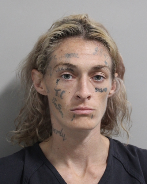 Booking photo of Karissa Daily-roach