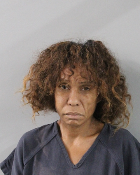 Booking photo of Yesenis Roman