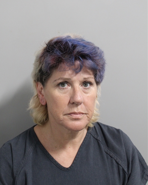 Booking photo of Daniele Steadman