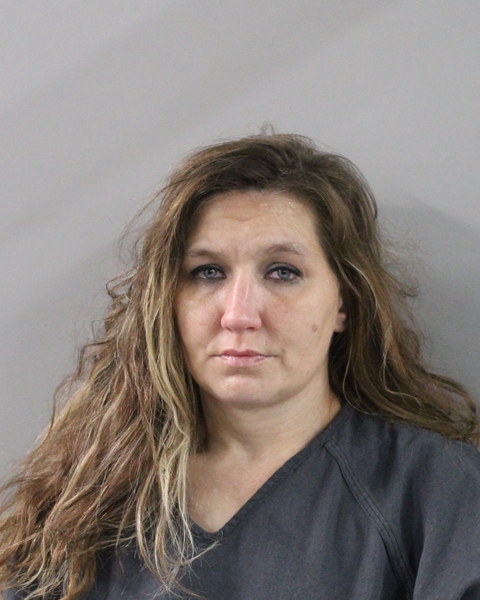Booking photo of Chelsea Nemechek