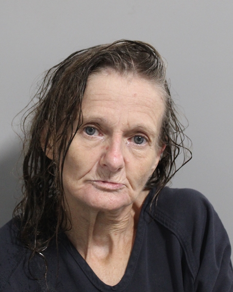 Booking photo of Merry Ball