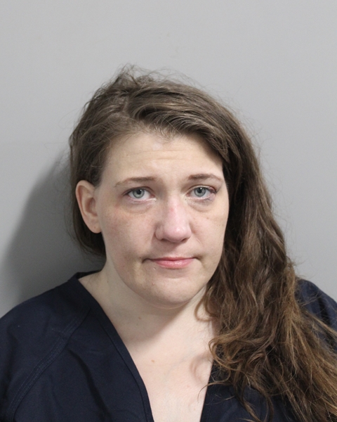 Booking photo of Nicole Hall