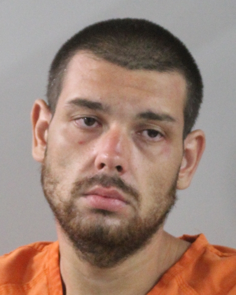 Booking photo of Charles Fanz