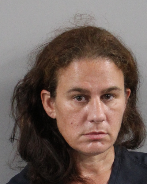 Booking photo of Diana Edwards