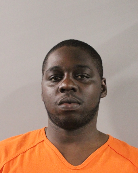 Booking photo of Yliece Charles