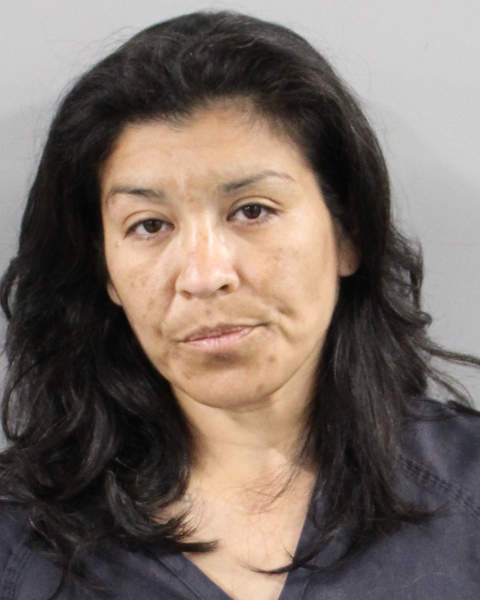 Booking photo of Angelique Florez
