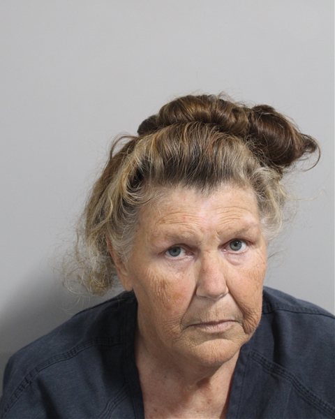 Booking photo of Karen Bowman
