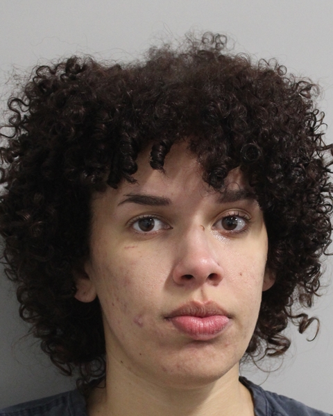 Gloria Hernandez Figueroa booking photo