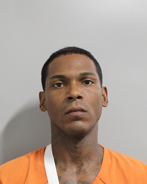 Booking photo of Kidanny Rolon