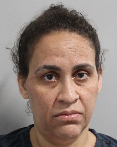 Booking photo of Julie Giraldi