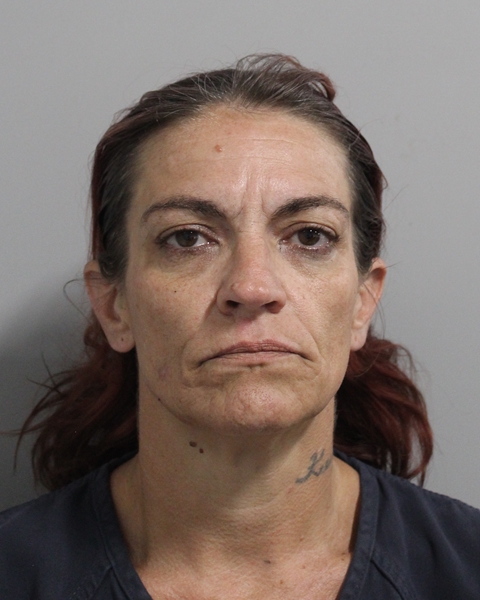 Booking photo of Melissa Bryan