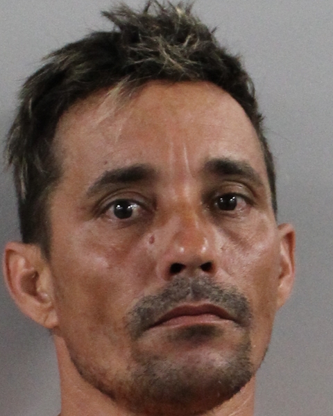 Leonides Lopez-gonzalez booking photo