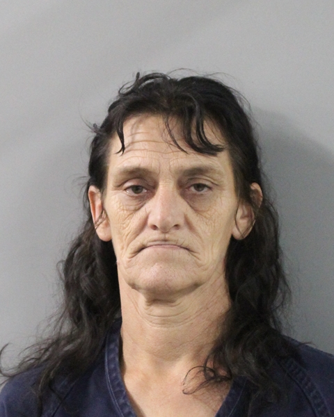 Veronica Melson booking photo