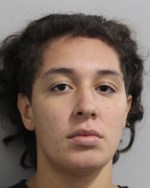 Booking photo of Yesenia Tardis