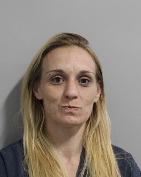 Booking photo of Ashley Goforth