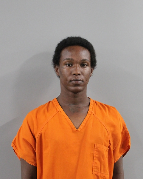 Booking photo of Tracy Butler