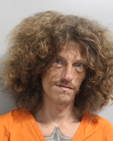 Thomas Goodwin booking photo