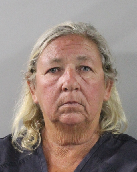 Booking photo of Sandy Horner