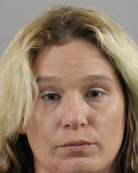 Dawn Callahan booking photo