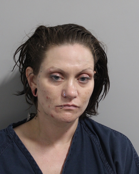 Arianna Jones booking photo