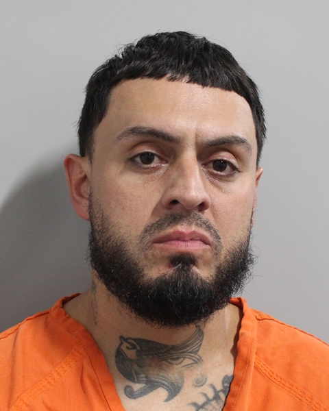 Booking photo of Luis Figueroa Palau