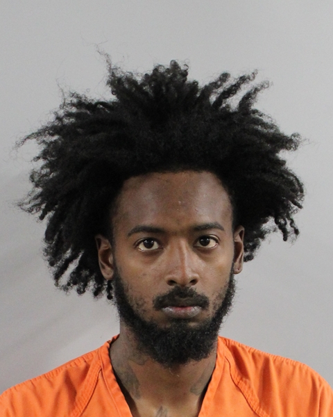 Booking photo of Chanceller James