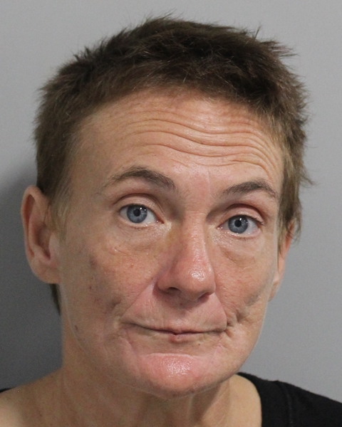 Booking photo of Erica Hornsby