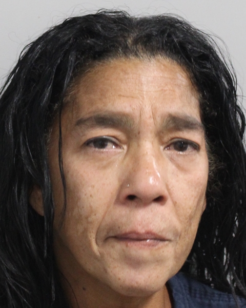 Booking photo of Leslie Diaz