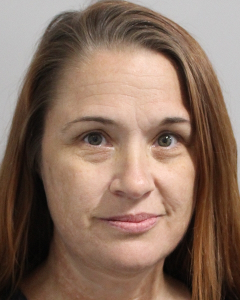 Booking photo of Melissa Lee