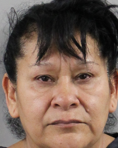 Booking photo of Ma Galvan Medina