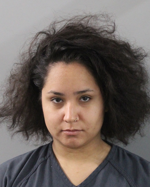 Booking photo of Natasha Olivari