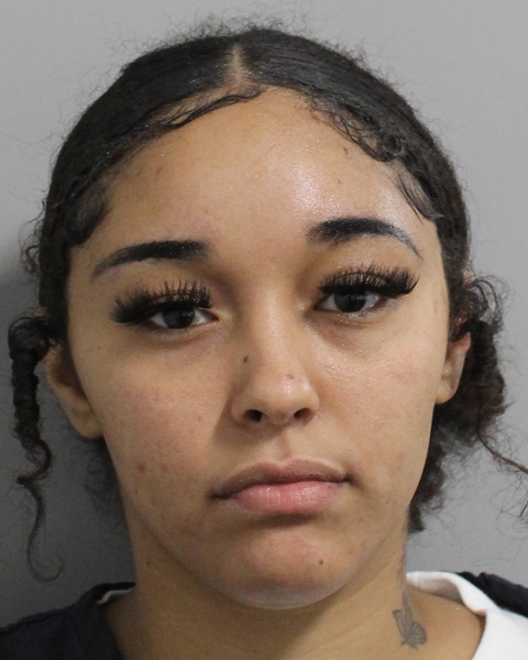 Booking photo of Dominique Brocks