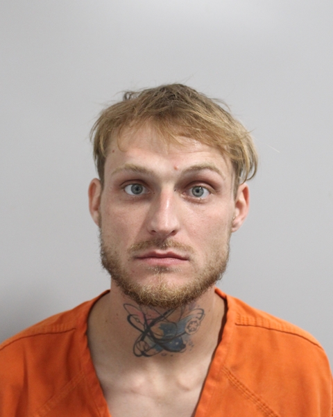 Booking photo of Tracy Bronson