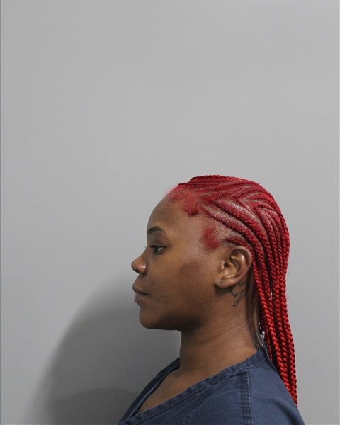 Vanilla Craig booking photo