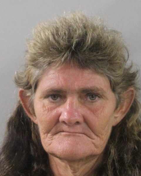 Booking photo of Glinda Roberts