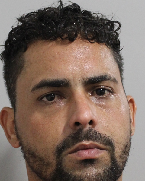 Randy Alfonso-romero booking photo