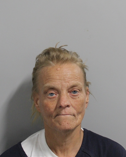 Booking photo of Robin Holland