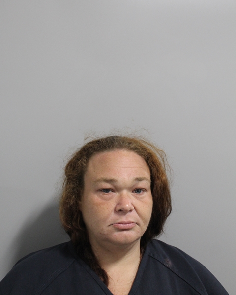 Booking photo of Brenna Clark